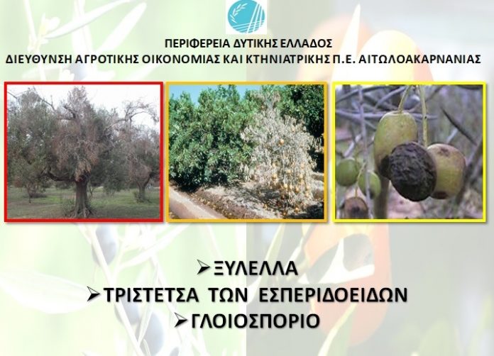 Ενημερωτική συνάντηση για τους εχθρούς των καλλιεργειών στο Μεσολόγγι
