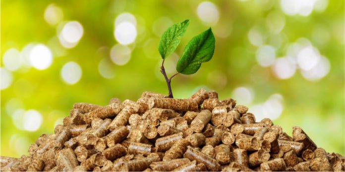 BIOMASS BIOMASS