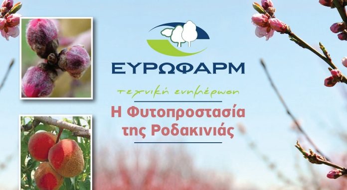 Εκδήλωση για την φυτοπροστασία της ροδακινιάς από την ΕΥΡΩΦΑΡΜ Α.Ε.