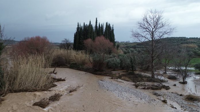 HLEIA-plimires-agrotes HLEIA-plimires-agrotes