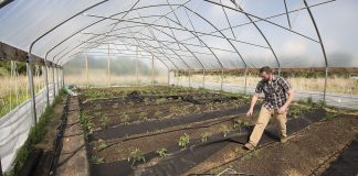  «Ανάπτυξη μικρών γεωργικών εκμεταλλεύσεων»