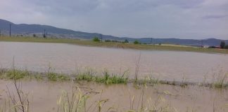 Αγροτικός Σύλλογος Φυτικής Παραγωγής Θηβών: Σοβαρά προβλήματα στις καλλιέργειες λόγω βροχοπτώσεων
