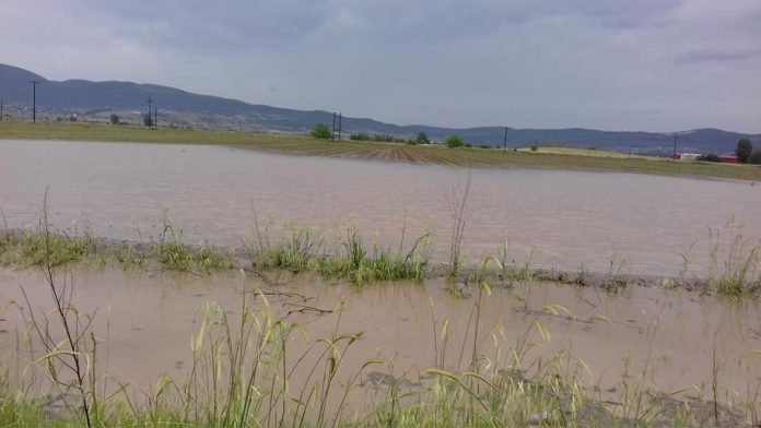 Αγροτικός Σύλλογος Φυτικής Παραγωγής Θηβών: Σοβαρά προβλήματα στις καλλιέργειες λόγω βροχοπτώσεων Αγροτικός Σύλλογος Φυτικής Παραγωγής Θηβών: Σοβαρά προβλήματα στις καλλιέργειες λόγω βροχοπτώσεων