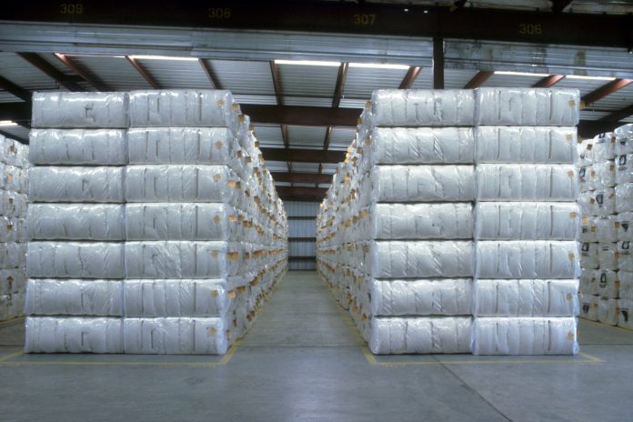 cotton demata cotton demata