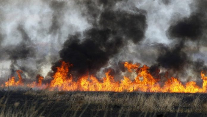 Φλώρινα: Δεκάδες φωτιές από καύση υπολειμμάτων σε χωράφια Φλώρινα: Δεκάδες φωτιές από καύση υπολειμμάτων σε χωράφια