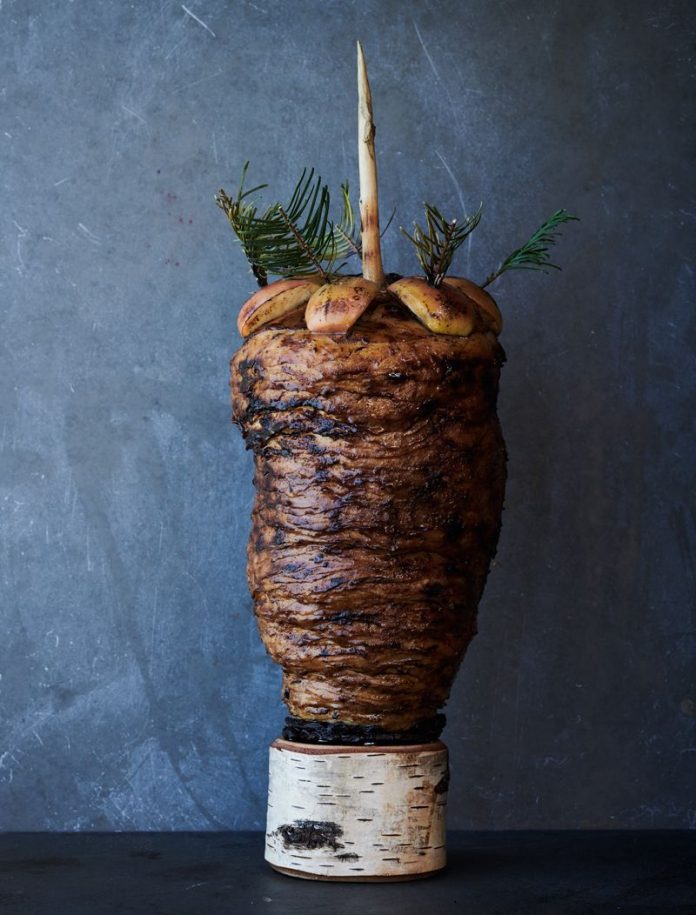 gyros_1 gyros_1