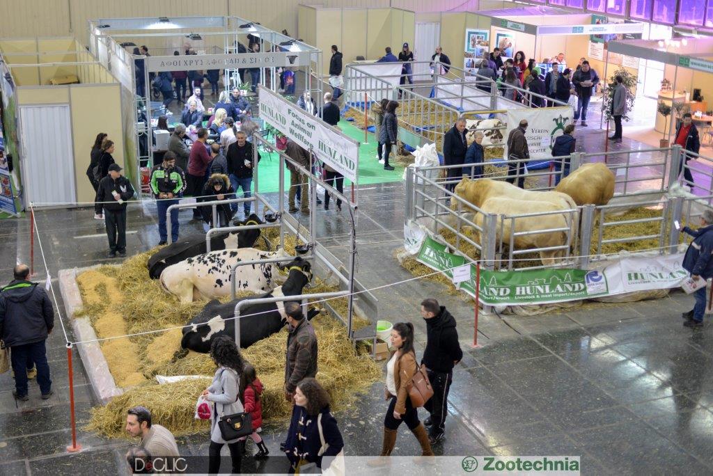 kata-30-afximenoi-se-schesi-me-persi-oi-eborikoi-episkeptes-stin-11i-zootechnia-147882