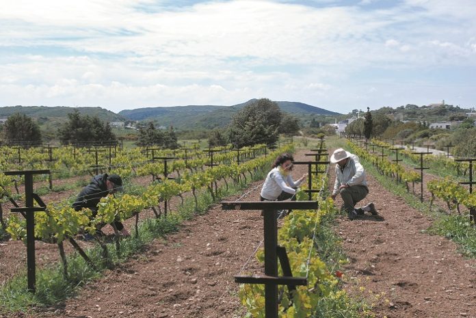 Μέσω ΚΕΠ η χορήγηση του Ειδικού Σήματος Αγροτουρισμού