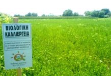 Ποσό 15,7 εκατ. ευρώ για τις «Βιολογικές καλλιέργειες» στην Περιφέρεια Δυτικής Μακεδονίας