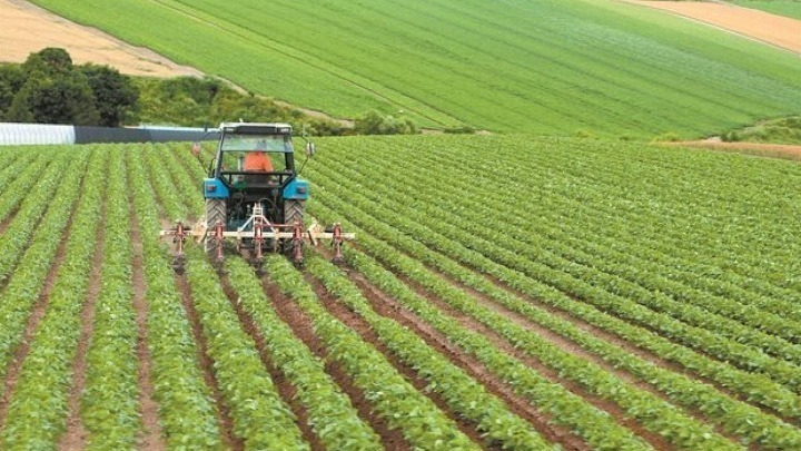 stirixi-tou-agrotikou-tomea-tis-alvanias-apo-ton-fao-150104