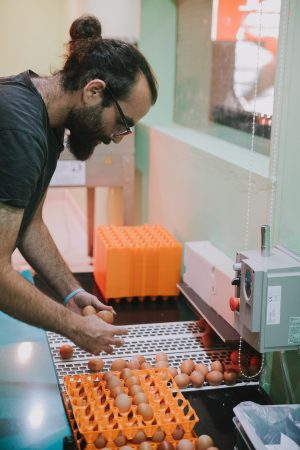 Φάρμα ΒΙΟ Φύλλα στην ομώνυμη περιοχή της Εύβοιας.