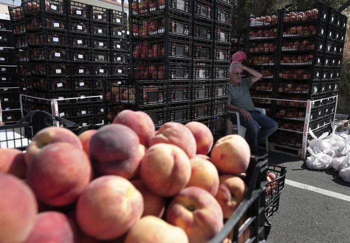 ΔΙΑΝΟΜΗ ΡΟΔΑΚΙΝΩΝ ΣΤΟ ΔΗΜΟ ΠΑΛΛΗΝΗΣ