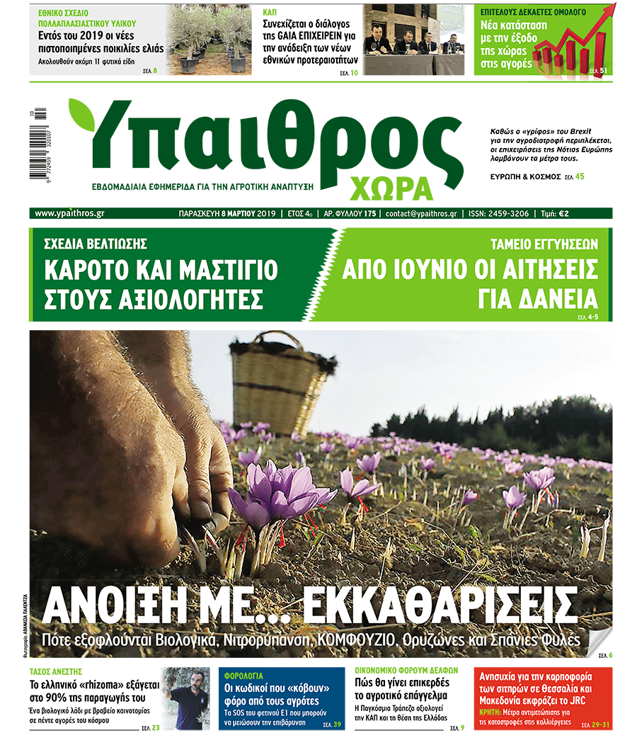 fyllo-175-8-martiou-2019-150984