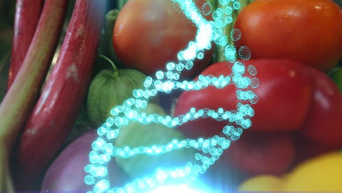 allilouxisi-dna allilouxisi-dna