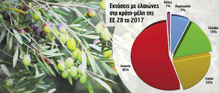 elaionas-infographic elaionas-infographic