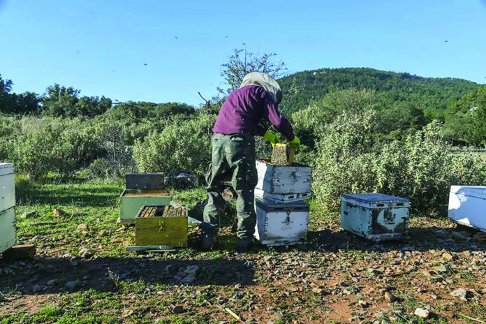 Η ΑΝΟΙΞΗ ΣΤΑ ΜΕΛΙΣΣΙΑ