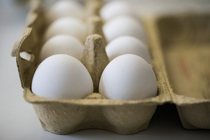 Ρουμανία: Περισσότερα από 100.000 μολυσμένα με fipronil αβγά στο καλάθι των καταναλωτών