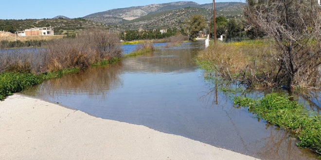 Σε κατάσταση έκτακτης ανάγκης αγροτικές περιοχές της Χαλκίδας