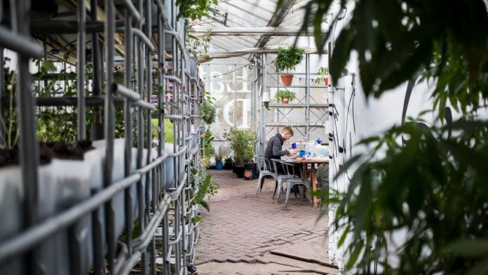 Aquaponics