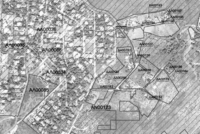 dasikoi-chartes-ena-koinoniko-kai-politiko-zitima-pou-zitaei-lysi-154229