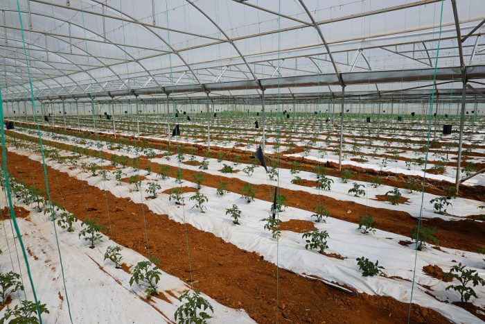 Πολυαγρόκτημα Γη μας Μαραθώνας: Ένα αγρόκτημα - πρότυπο στην αιχμή της καινοτομίας (video)