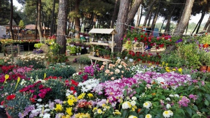 Ανακοίνωση ενδιαφέροντος συμμετοχής Πολιτιστικών Φορέων στην 17η Ανθοκομική Έκθεση Ορεστιάδας Ανακοίνωση ενδιαφέροντος συμμετοχής Πολιτιστικών Φορέων στην 17η Ανθοκομική Έκθεση Ορεστιάδας