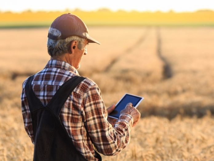 farmer-examinig-wheat-field-status-with-digital-tablet-picture-id545419990-1