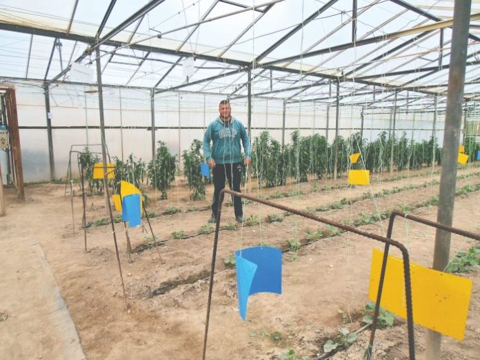 «Επειγόντως αλλαγή νοοτροπίας και σεβασμός στην αξία των νέων γνωστικών εφοδίων» Γιώργος Καμπουράκης