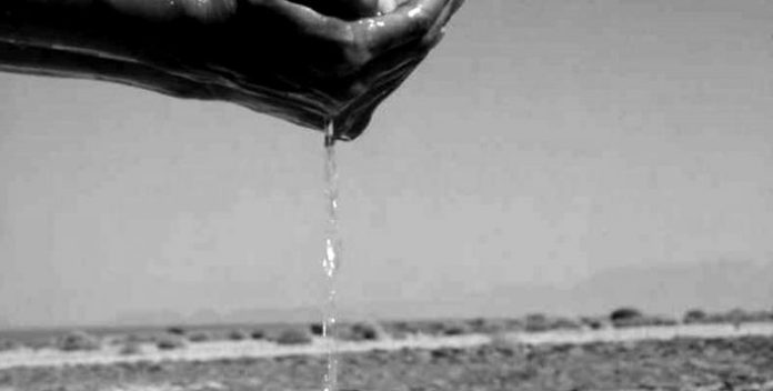 leipsudria-790x400-blackwhite