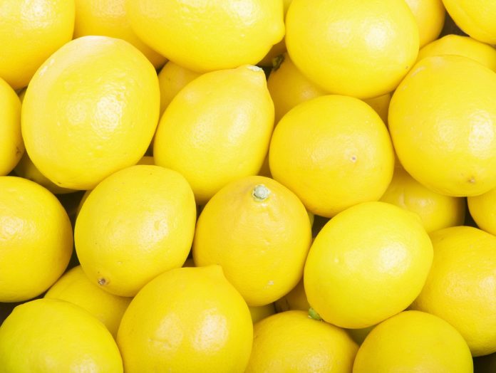 lemonia