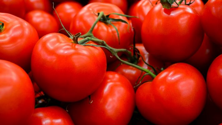 ischyri-i-parousia-tis-marokinis-ntomatas-stin-evropi-154388