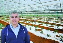 ένα κτήμα βιολογικής καλλιέργειας αγνών κηπευτικών που μυρίζουν Ελλάδα