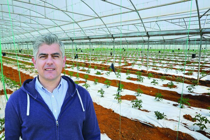 poliagroktima-kato-souli ένα κτήμα βιολογικής καλλιέργειας αγνών κηπευτικών που μυρίζουν Ελλάδα