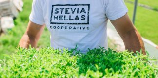 stevia-lamia-sinetairismos