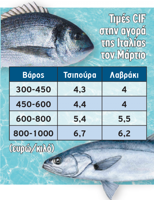 vythismenes-paramenoun-oi-times-gia-tsipoura-kai-lavraki-153386