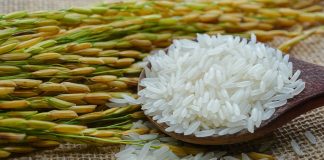 USDA: Αύξηση κατανάλωσης και μείωση παγκόσμιων αποθεμάτων ρυζιού φέτος