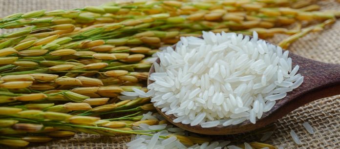 USDA: Αύξηση κατανάλωσης και μείωση παγκόσμιων αποθεμάτων ρυζιού φέτος USDA: Αύξηση κατανάλωσης και μείωση παγκόσμιων αποθεμάτων ρυζιού φέτος