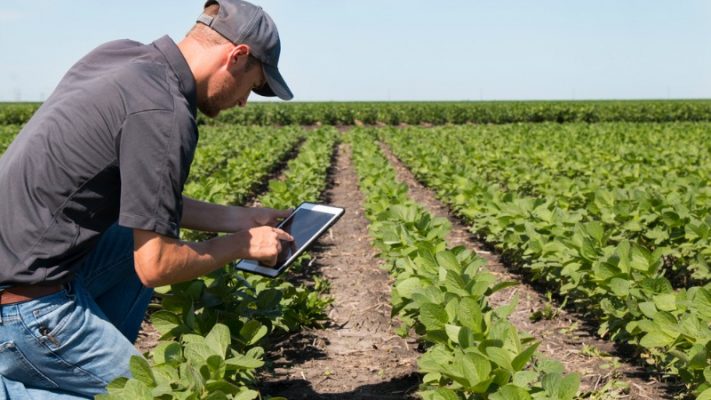 ing-megales-oi-allages-tou-agrodiatrofikou-tomea-apo-tis-psifiakes-technologies-158726