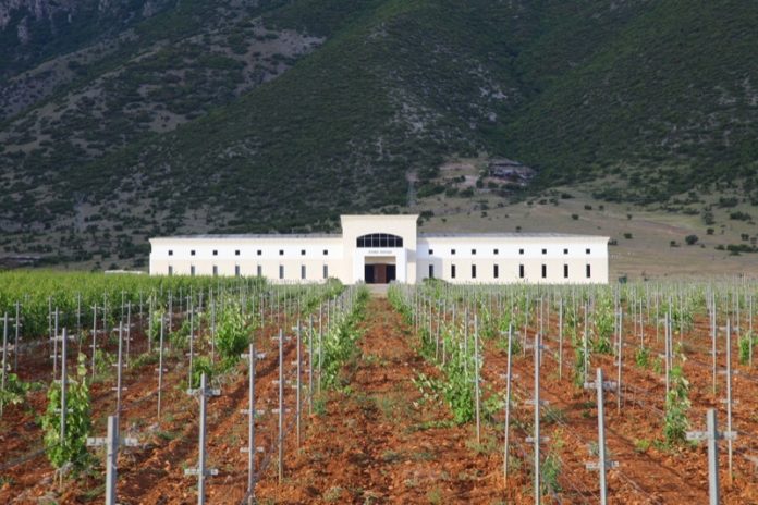 Διακρίσεις και νέα βραβεία για το Κτήμα Παυλίδη