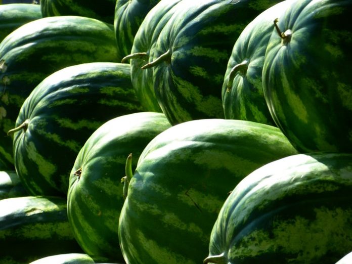 food-fruits-green food-fruits-green