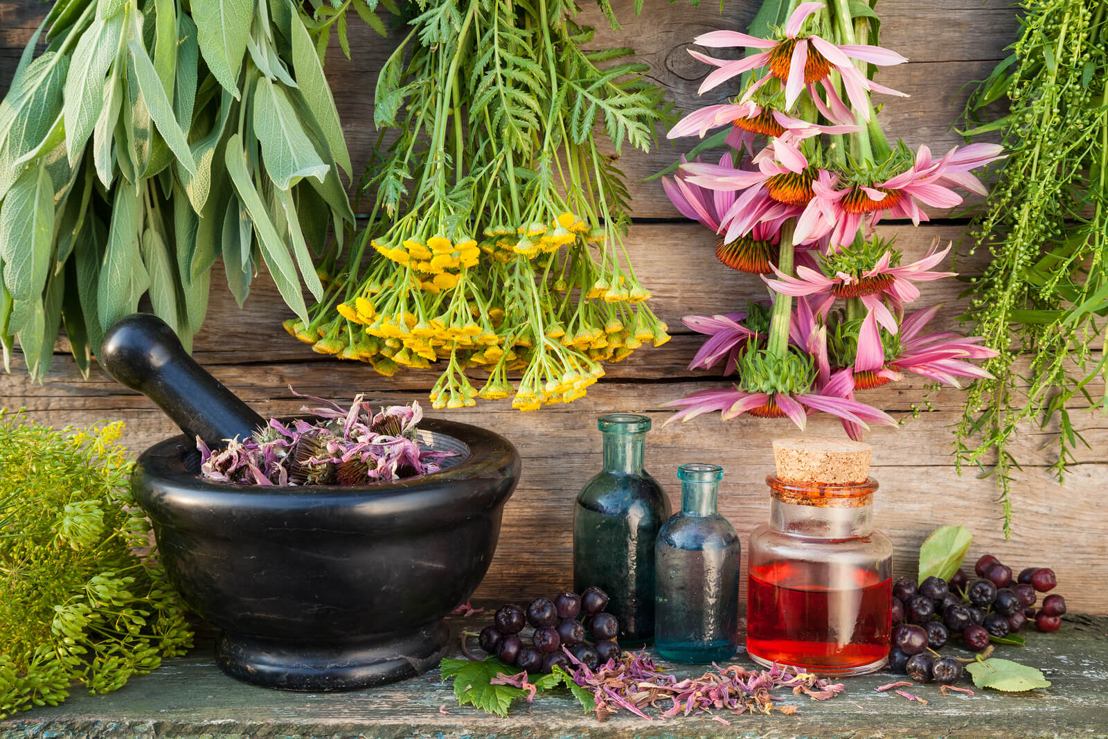 diasosi-ton-aromatikon-kai-farmakeftikon-fyton-tis-kritis-155751