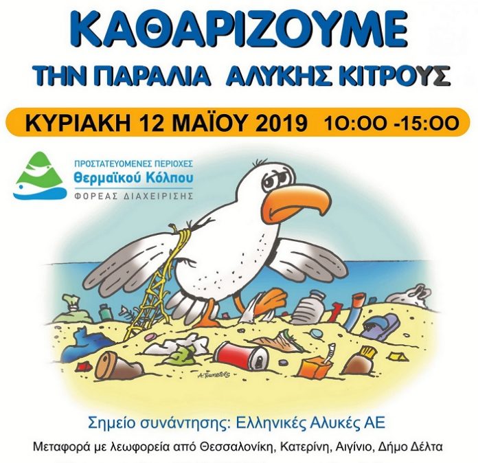 Την Κυριακή 12 Μαΐου «καθαρίζουμε» την παραλία Αλυκής Κίτρους Την Κυριακή 12 Μαΐου «καθαρίζουμε» την παραλία Αλυκής Κίτρους