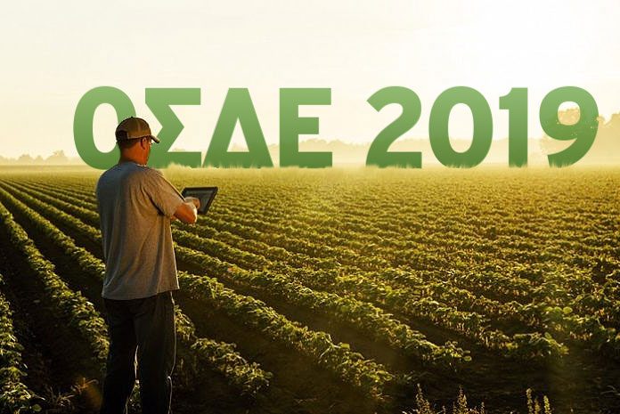osde_grass