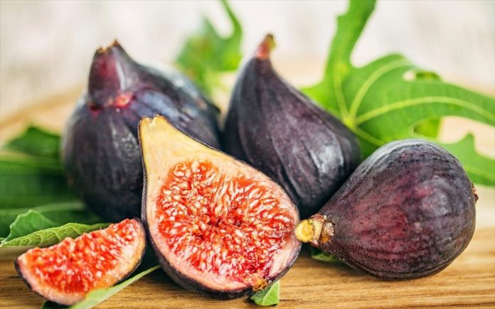 suko-fig