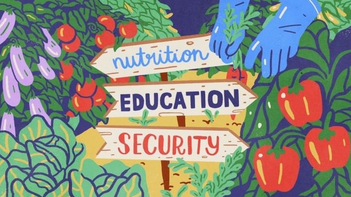 to-kinima-sustainable-food-in-greece-kai-i-machi-gia-gastronomia-me-stocho-tin-aeiforia-158003