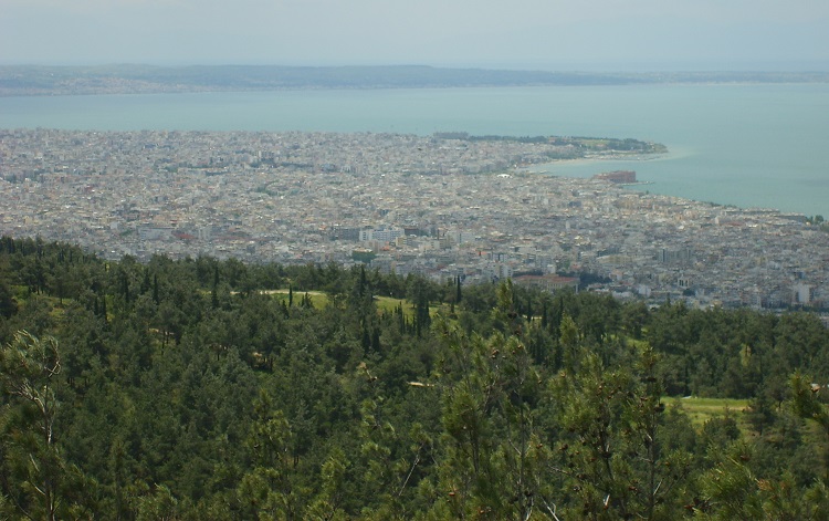 archizei-tin-tetarti-5-iouniou-i-apopsilosi-dentron-pou-echoun-prosvlithei-apo-floiofago-entomo-sto-seich-sou-159190