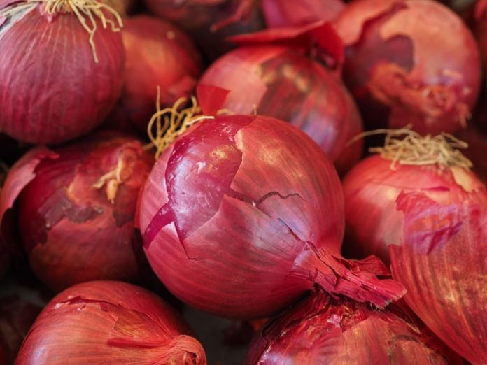 bulb-onion-close-up-food-47051