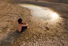 Με ερημοποίηση κινδυνεύει το 1/3 της Ελλάδας λόγω της κλιματικής αλλαγής