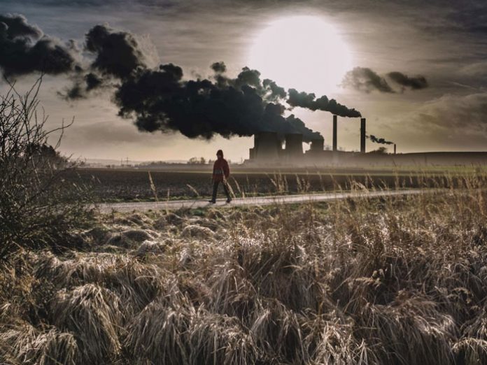 factory-agrotis