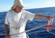 Ιταλία: Οι ψαράδες δεν θα πετούν πλέον τα πλαστικά απορρίμματα που ψαρεύουν πίσω στη θάλασσα